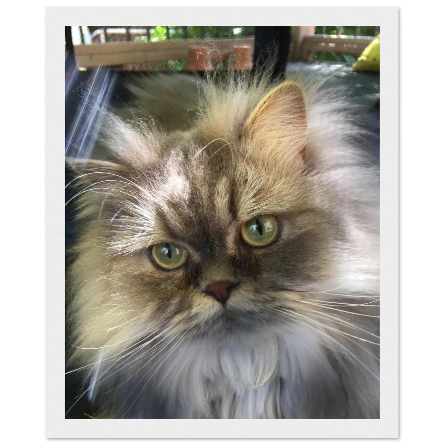 Personalized Framed Art